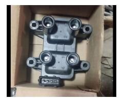 Катушка зажигания Geely